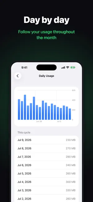 BitMeter: Data Usage Widget screenshot 3