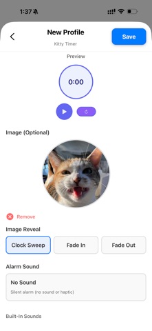 Custom Visual Timer screenshot