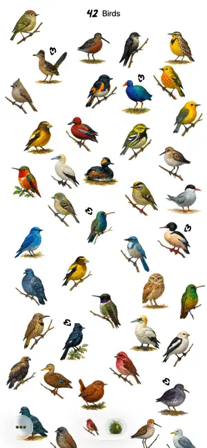 A Bird A Day screenshot 2