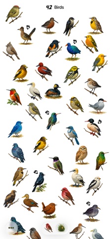 A Bird A Day screenshot