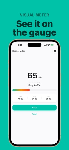 Decibel Meter: dB Noise Check iPhone screenshot