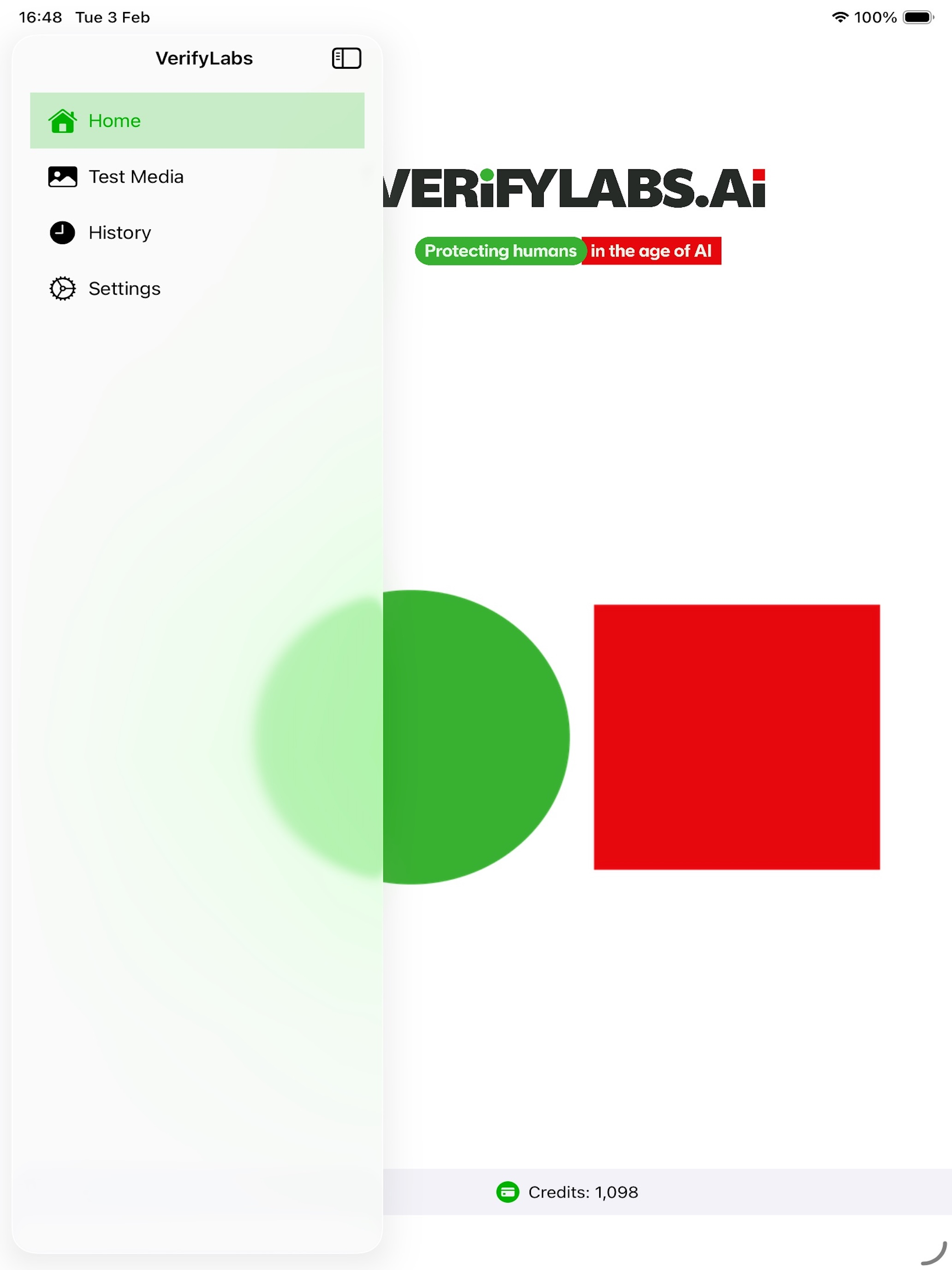 VerifyLabsAI Detector