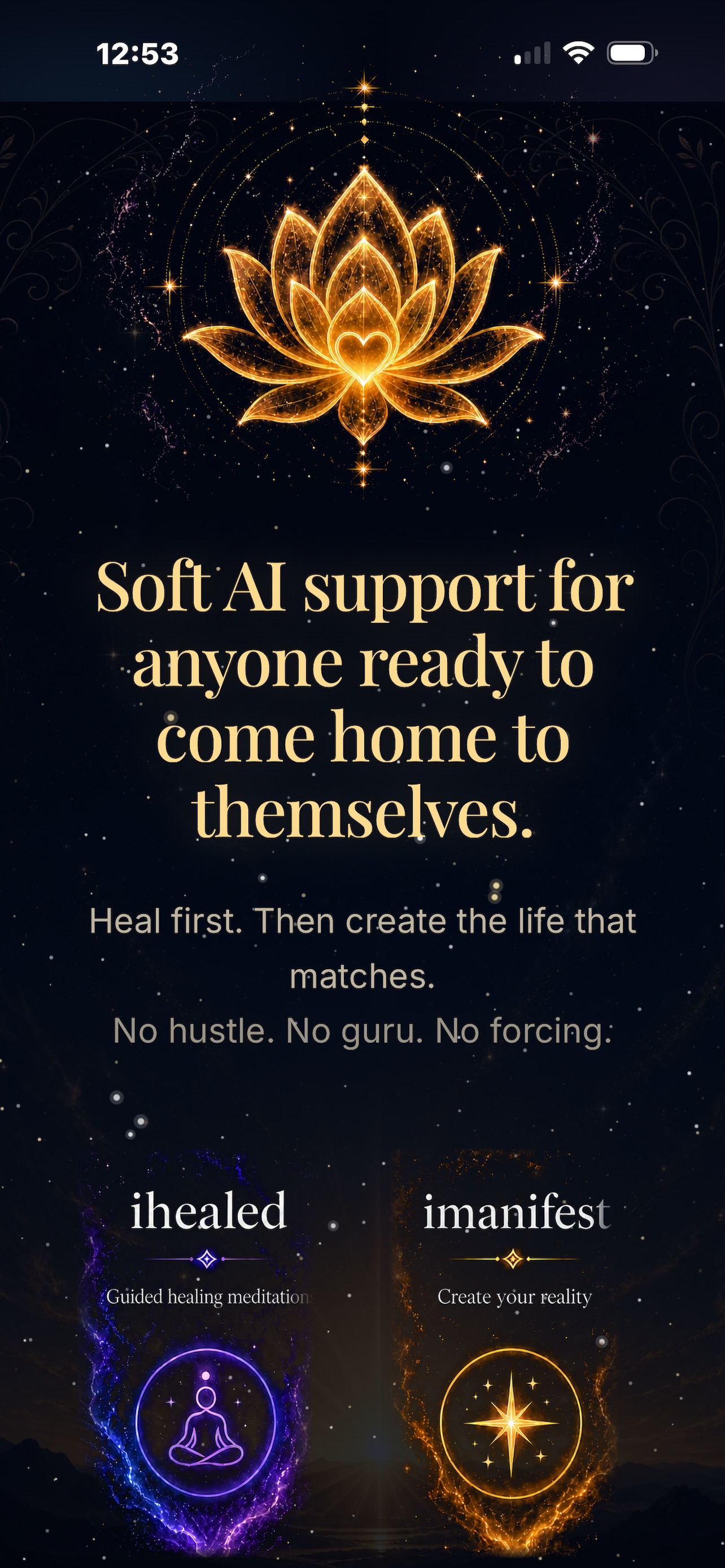 Screenshot 1 of ihealed AI