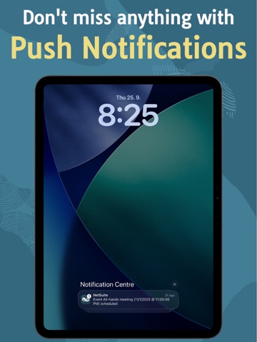 NetSuite iPad screenshot