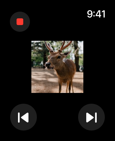 Miracast: Screen Mirroring TV screenshot 14