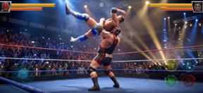 Wrestling 3D: Fighting Game screenshot