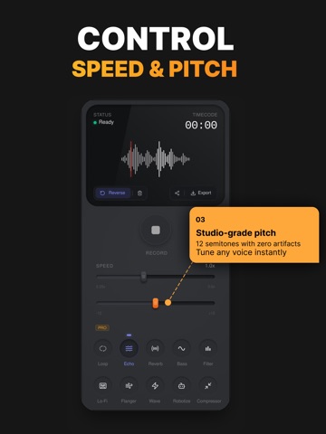 Reverse Audio: Voice Effects iPad screenshot