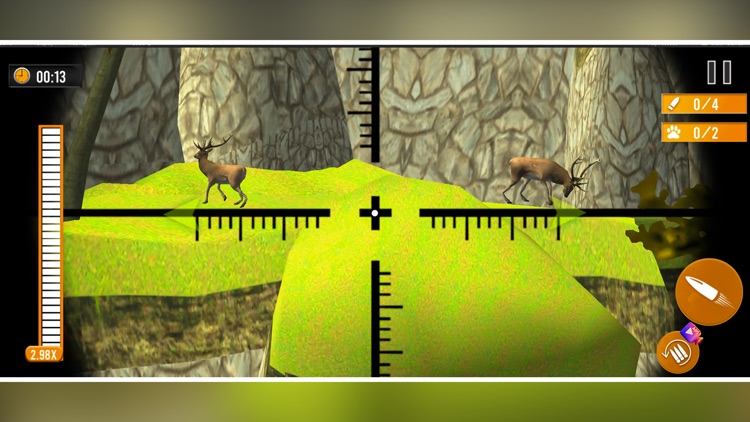 Hunting Simulator Hunt Animal