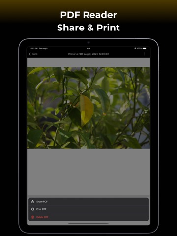 Convert Image to PDF : Pro iPad screenshot