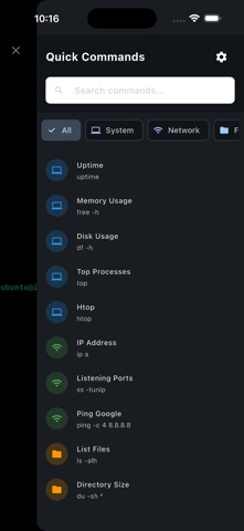 Rai Persistent Terminal screenshot