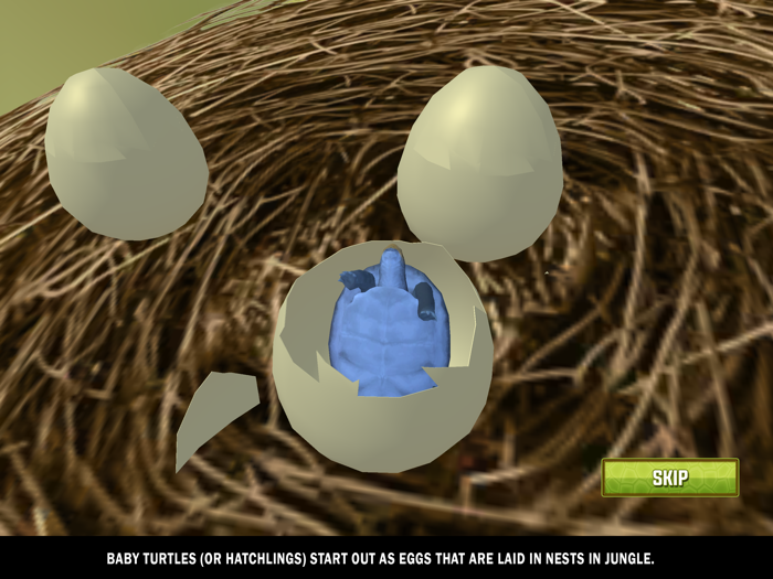 Wild Insect Family Life games