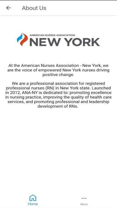 ANA-NY Screenshot