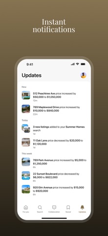 Real Estate TIES screenshot