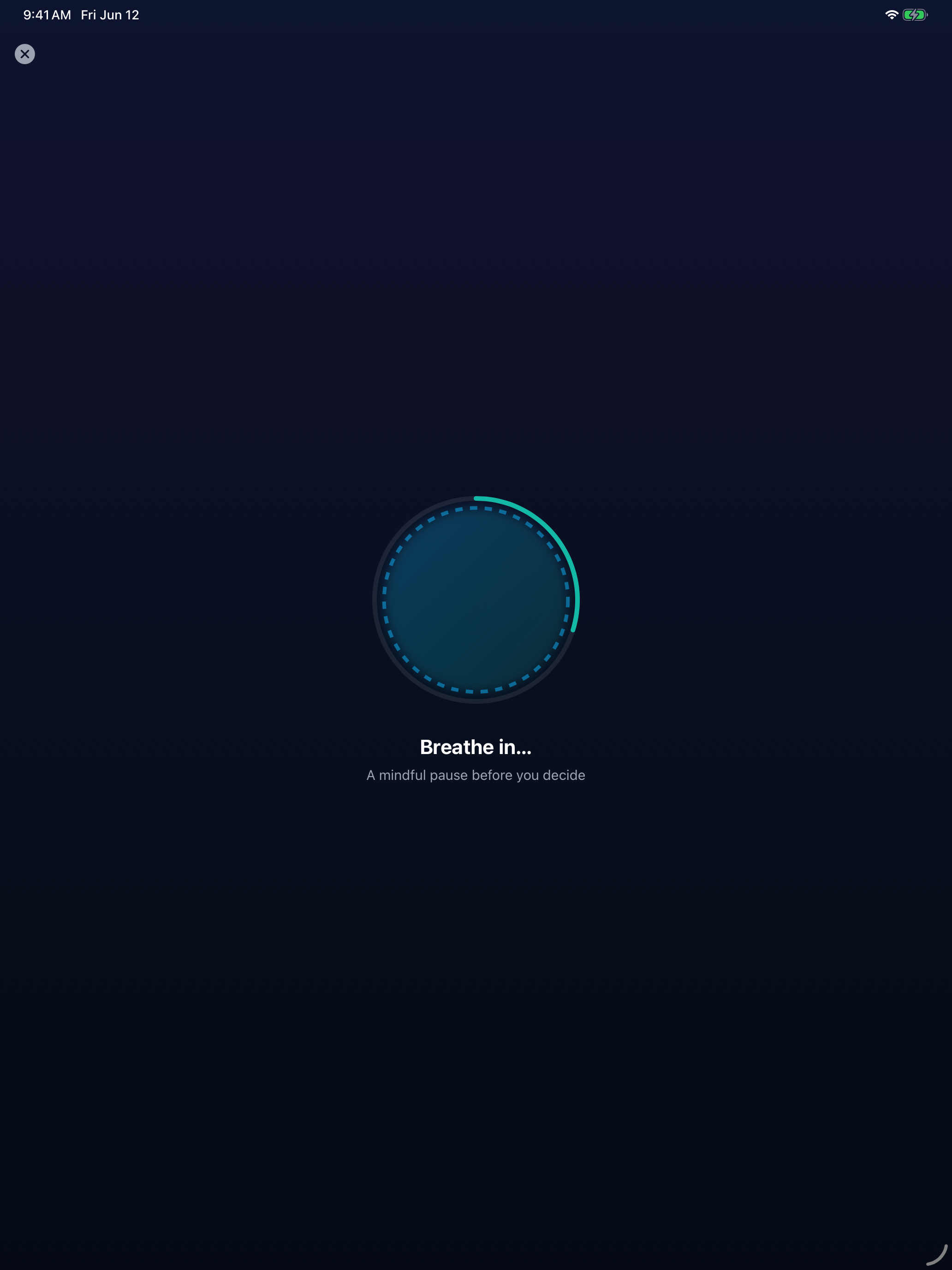 Ivy Lock screenshot 9