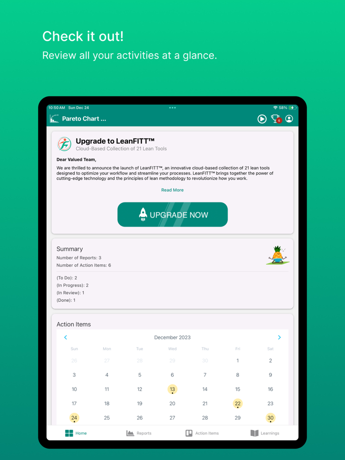 Lean Pareto Chart Rpt