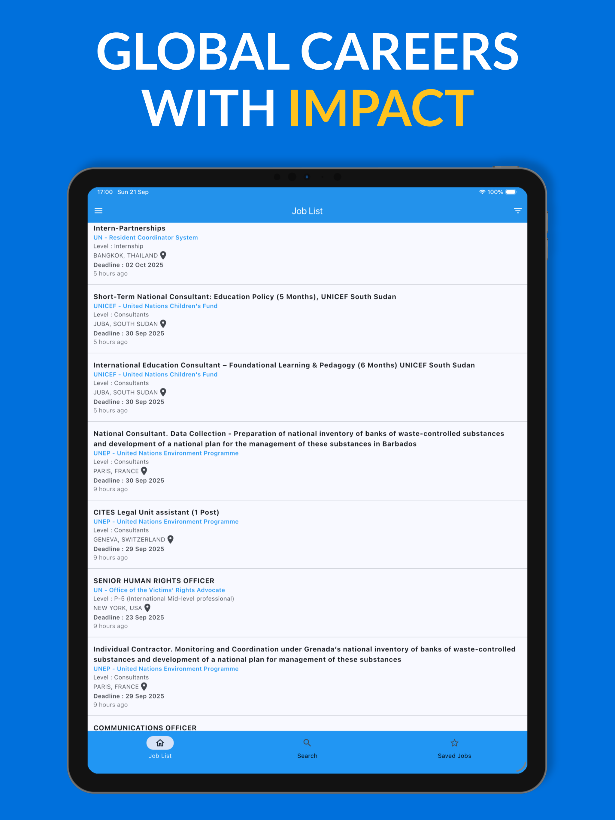 UN & NGO Jobs