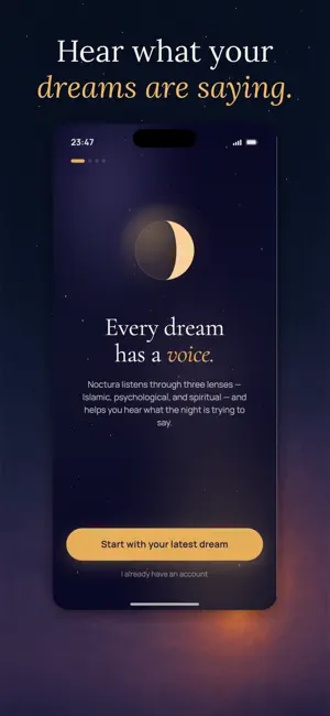 Noctura: Dream Journal screenshot 1