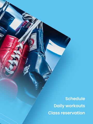 Dynamis Muay Thai iPad screenshot