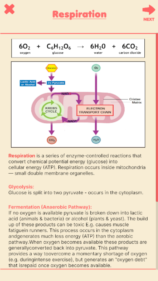 #3. Run Through Respiration (iOS) 由: Run Through PTY LTD