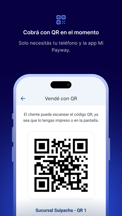 Payway iPhone screenshot 2