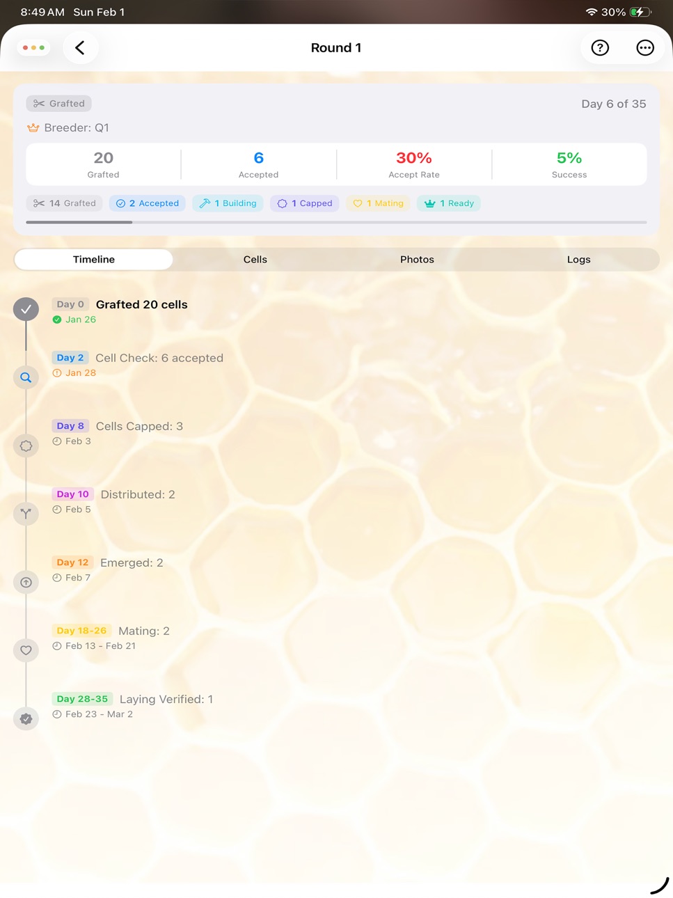 iPad screenshot