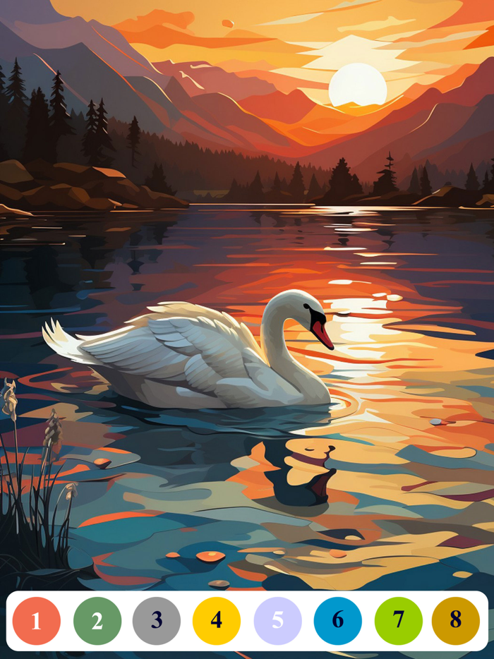 Senior Color - Paint By Number