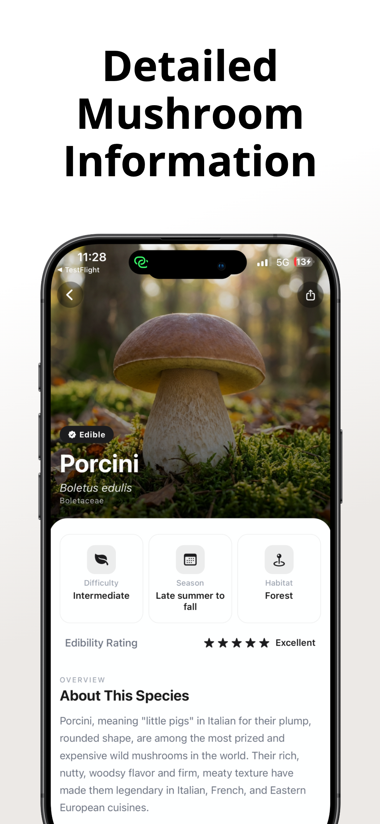 Mushroom Identifier: Mushy