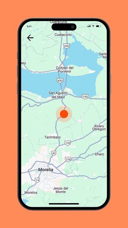 Multitrans screenshot-3