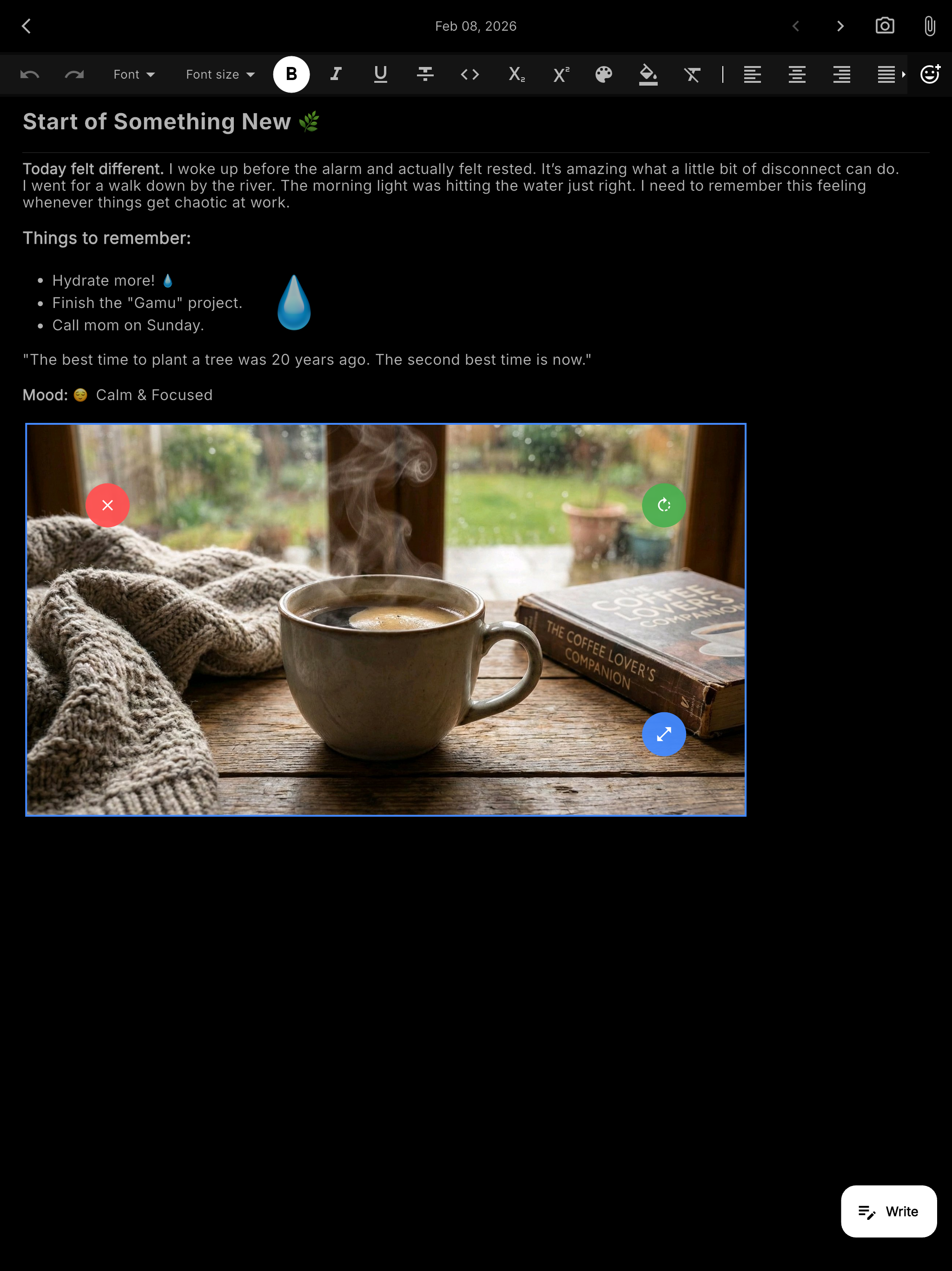 Gamu Journal: Private Diary screenshot 6