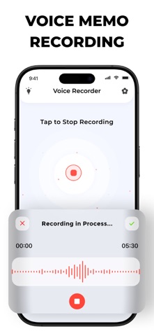 Call Recorder: 记录电话通话和语音备忘录 screenshot