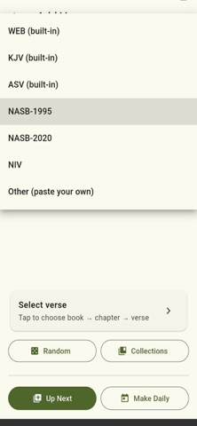 Hidden Word - Scripture Memory Screenshot 4 of 9