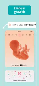 Pregnancy Calculator, Due Date screenshot #1 for iPhone