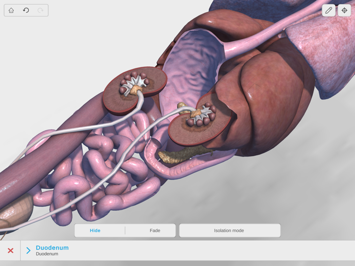 Complete Canine Anatomy 3D