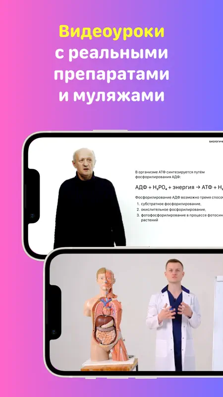 Учи Мед (Учи Анат) screenshot 8 of 9