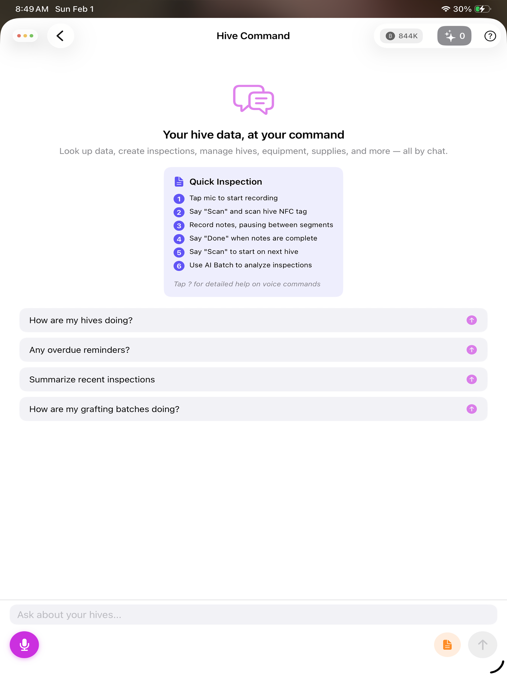 AI BeeKeeper Voice Assistant