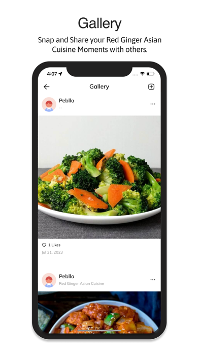 Red Ginger Asian Cuisine Screenshot