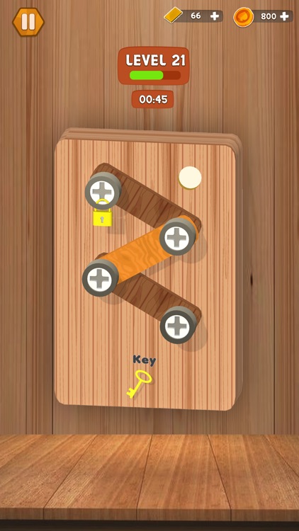 Wood Screw Puzzle Adventure screenshot-5