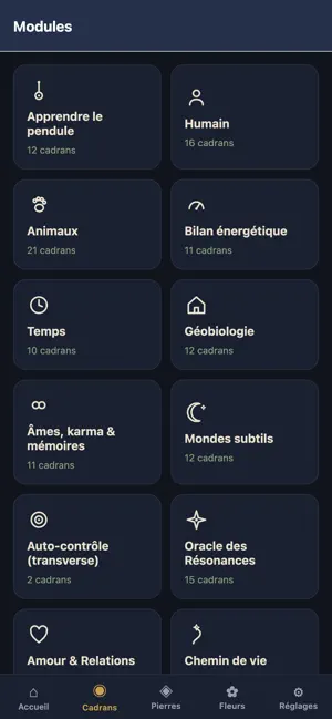 Radiescoon screenshot 2