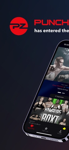PunchZone screenshot
