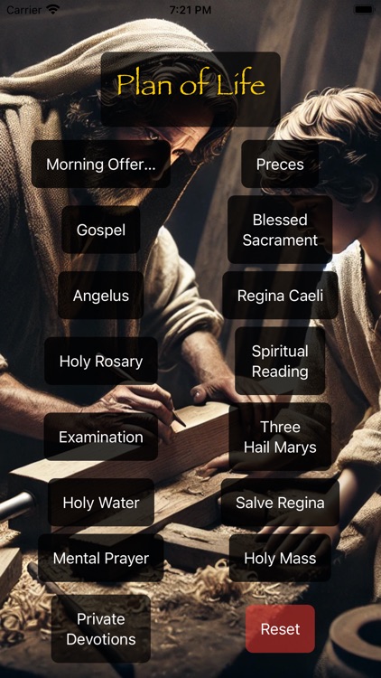 Catholic Plan of Life screenshot-3