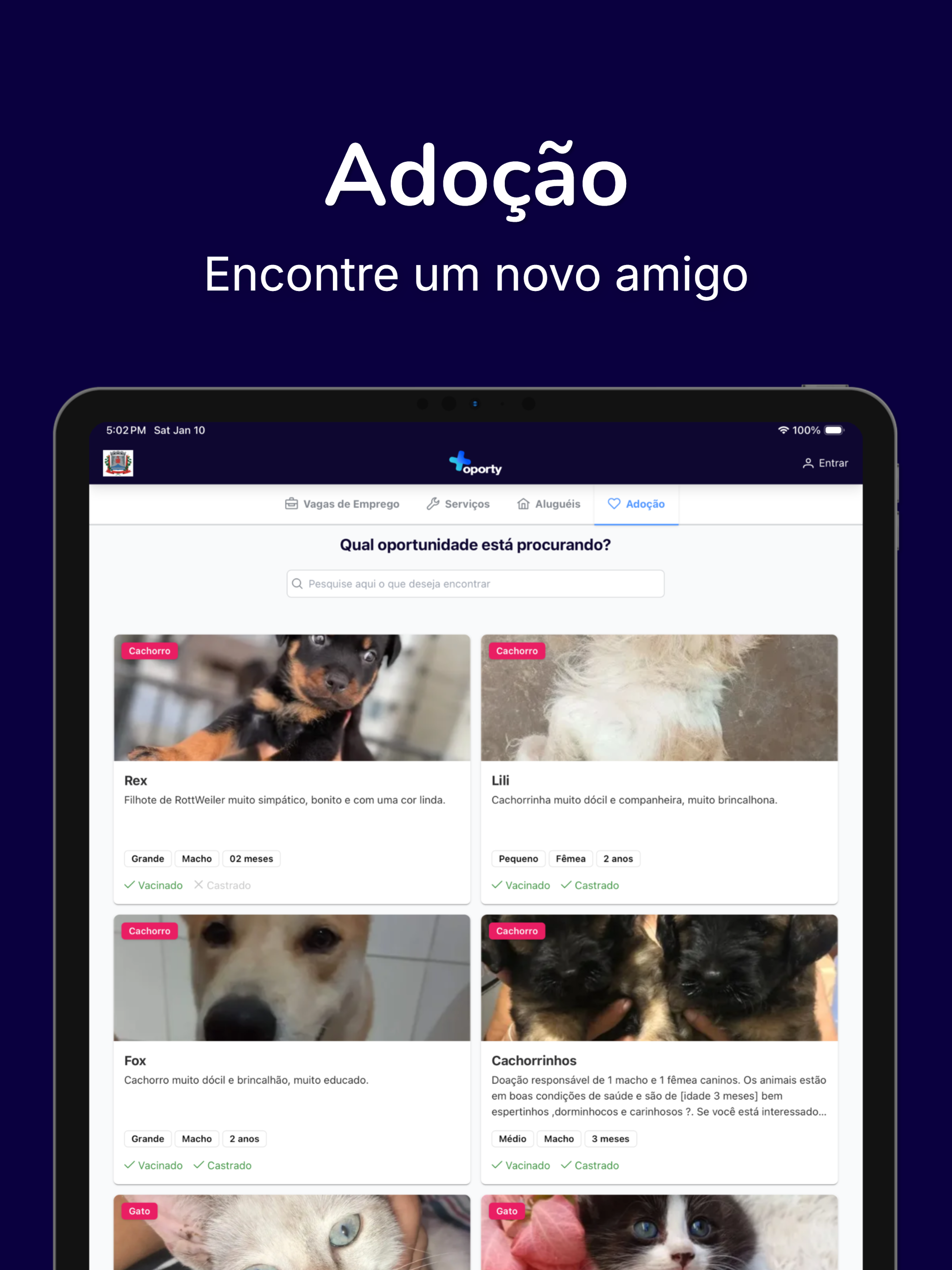 Oporty screenshot 11
