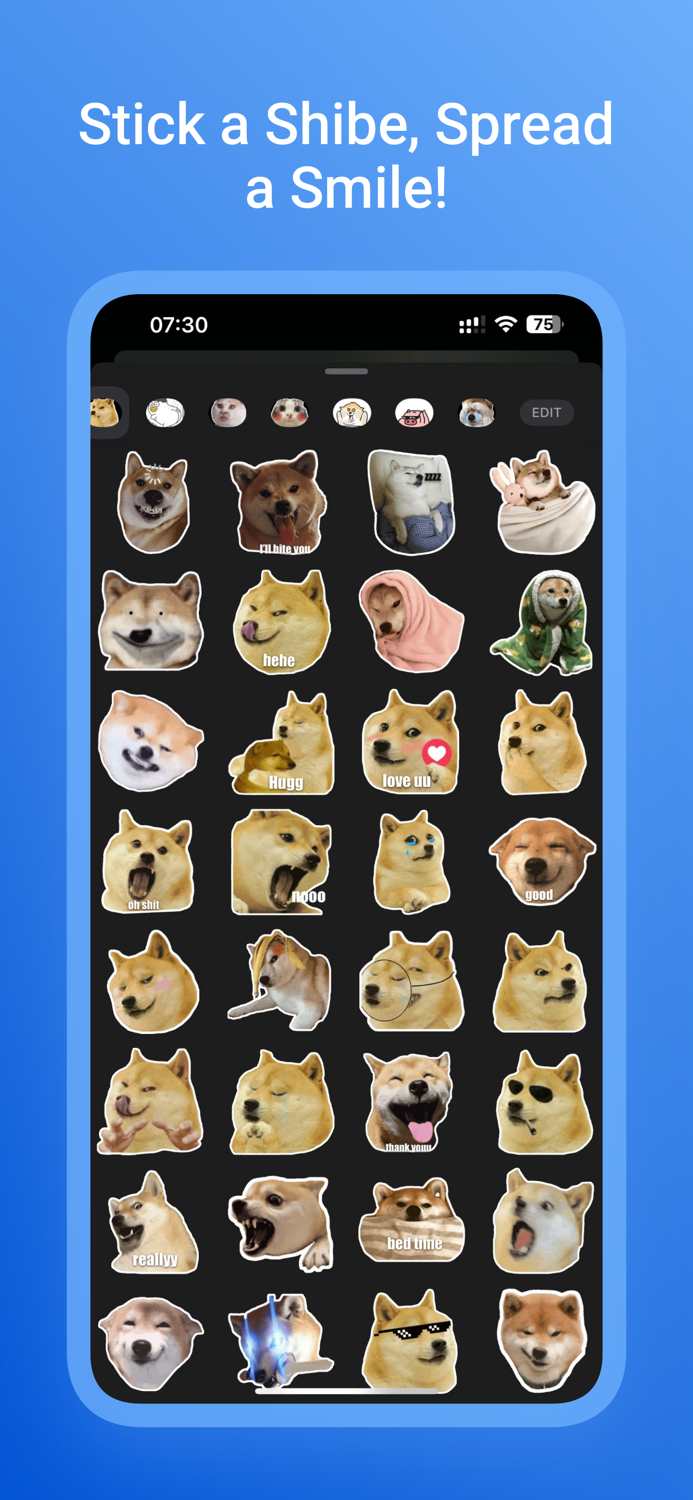 Shiba Dog Meme