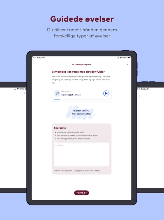Falck SundtSind screenshot-4