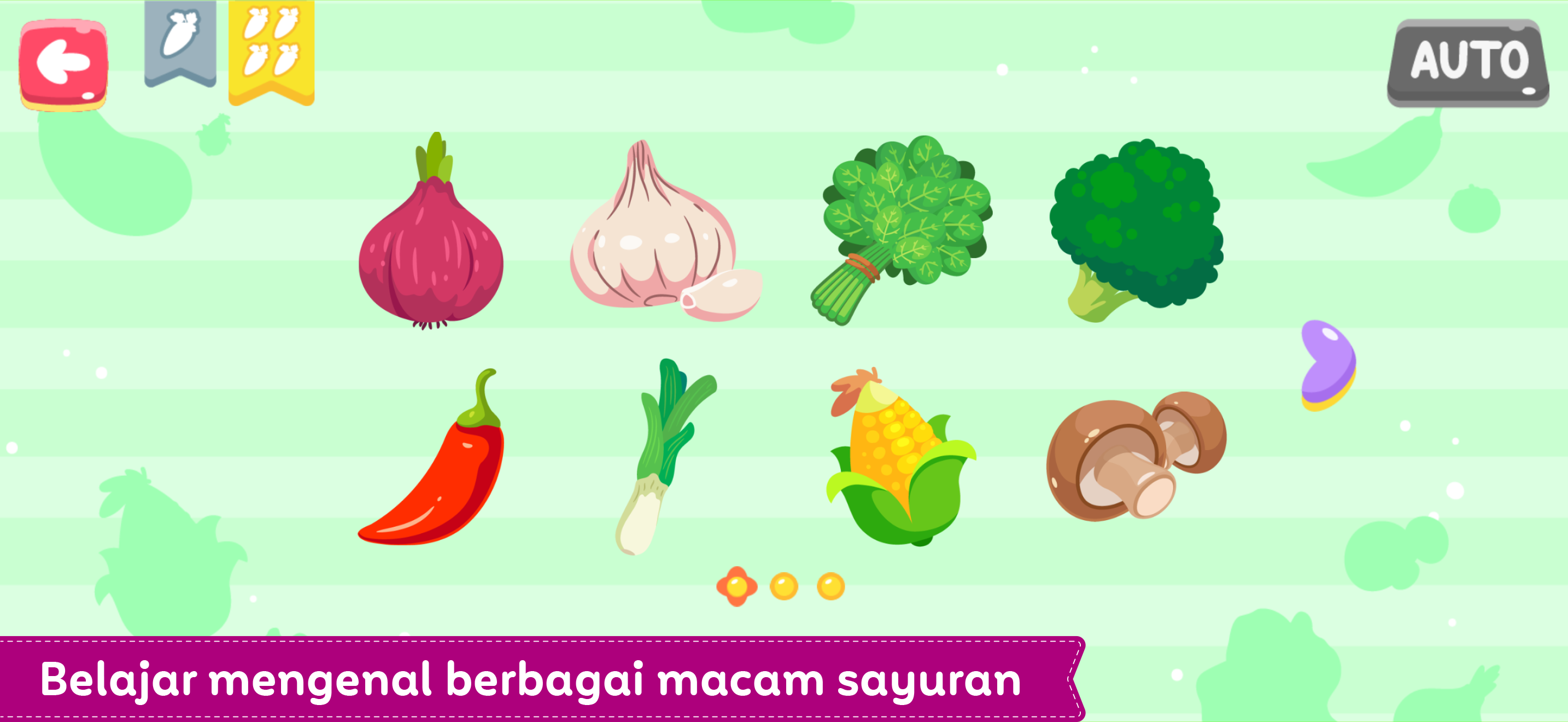 Secil Belajar Sayur
