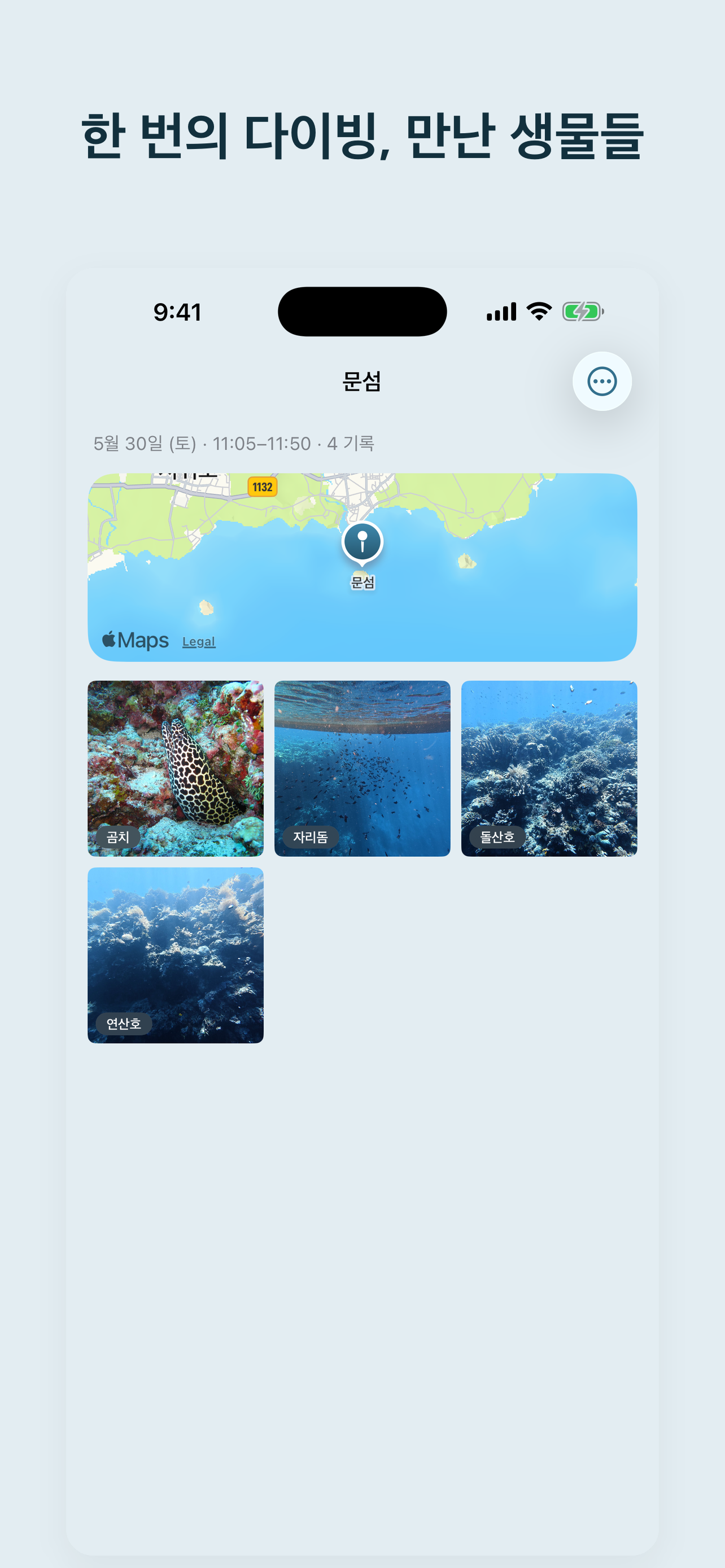 Sumbi screenshot 2