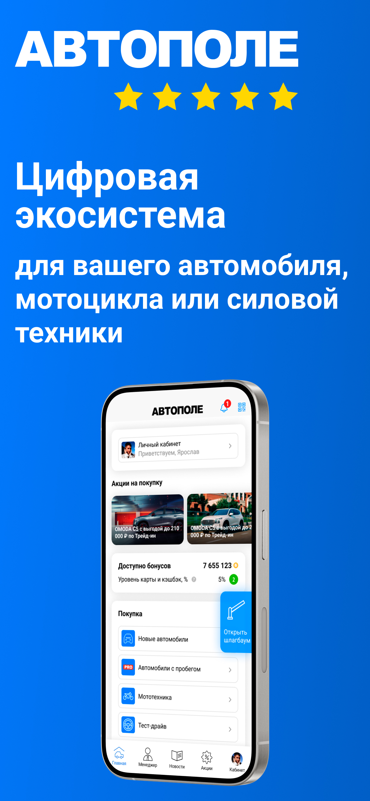 Автополе