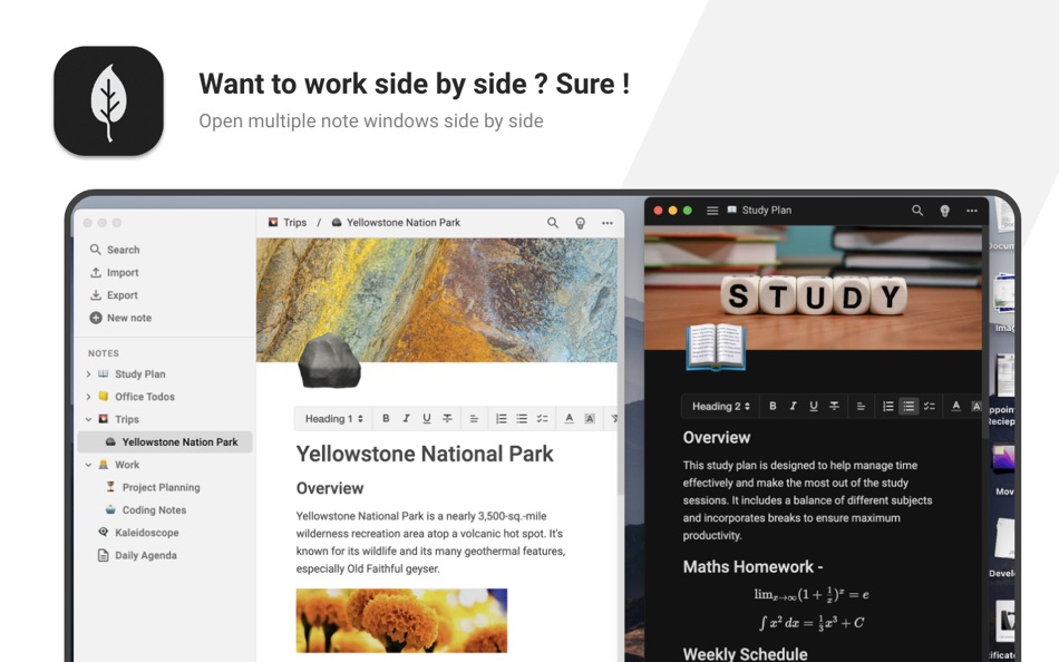 #5. Quill - Notes app (macOS) 由: ASHVIN SUTHAR