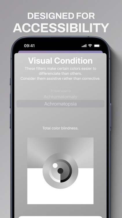 PaletteVision screenshot-6