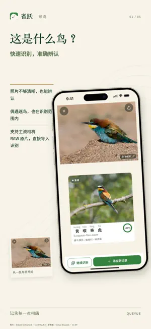 雀跃-观鸟神器 screenshot 1