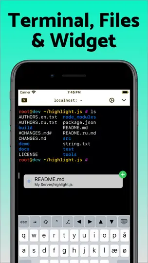 Capture d'écran de SSH Client - Secure ShellFish sur iPhone 2